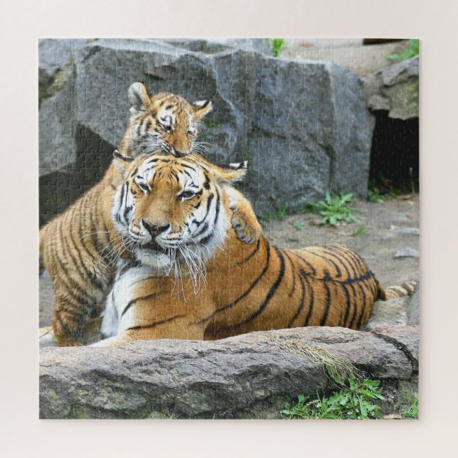 Tiger And Cub Love Jigsaw Puzzle (Vertical)
