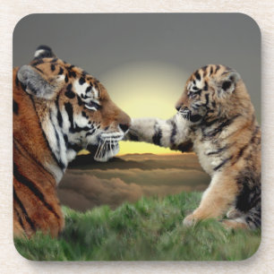 Tiger and Cub Set of 6 Coasters