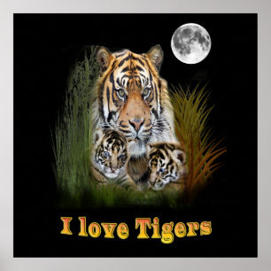 Tiger and cubs art poster