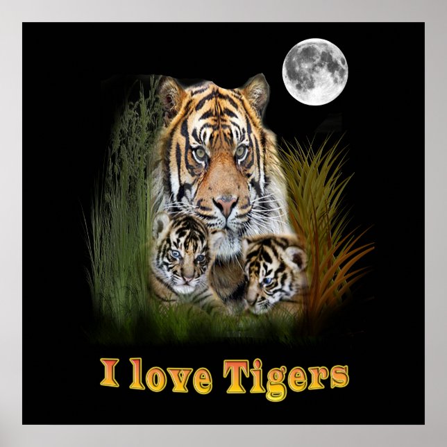 Tiger and cubs art poster (Front)