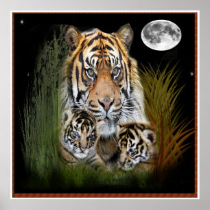Tiger and cubs poster