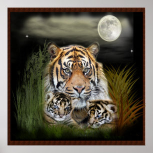 Tiger and cubs poster