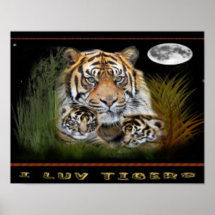 tiger and cubs posters