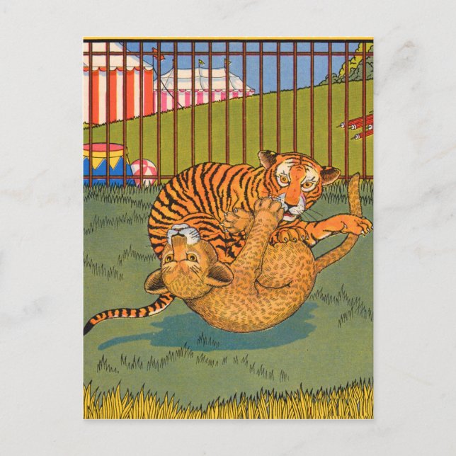 tiger and leopard wrestling postcard (Front)