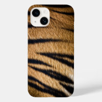 tiger animal skin fur texture nature stripes patte