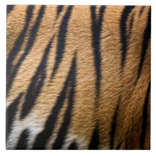 tiger animal skin fur texture nature stripes patte ceramic tile