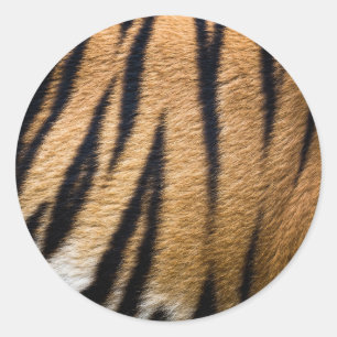 tiger animal skin fur texture nature stripes patte classic round sticker
