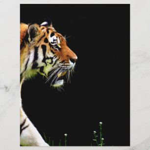 Tiger Approaching - Wild Animal Artwork