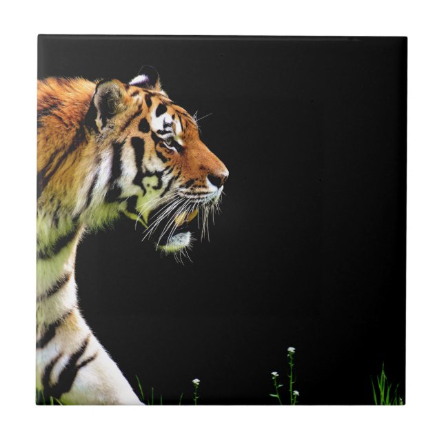Tiger Approaching - Wild Animal Artwork Ceramic Tile (Front)