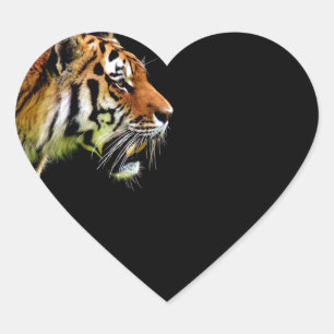 Tiger Approaching - Wild Animal Artwork Heart Sticker