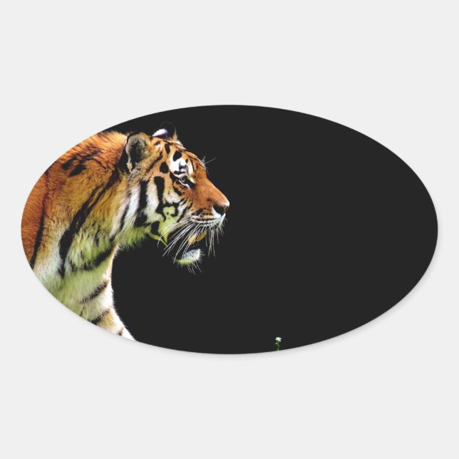 Tiger Approaching - Wild Animal Artwork Oval Sticker (Front)