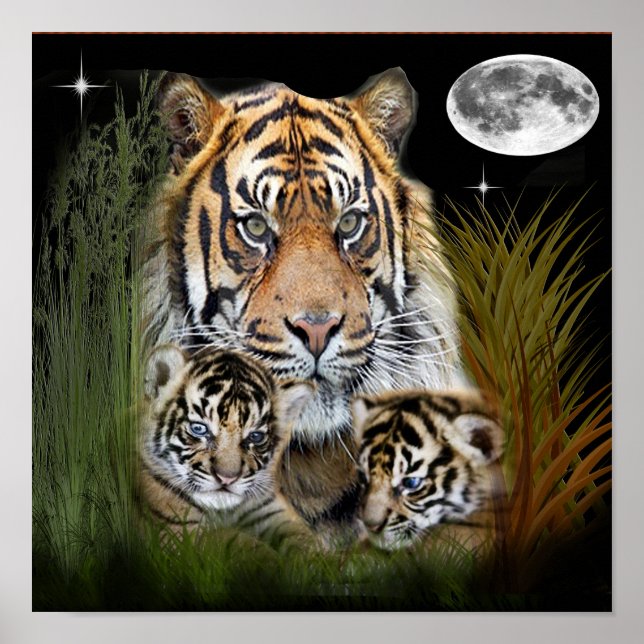 Tiger art poster (Front)