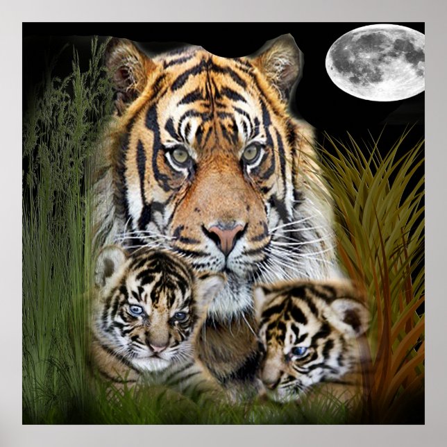 Tiger art poster (Front)