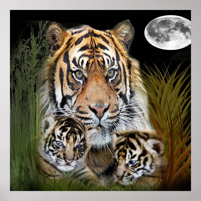 Tiger art poster (Front)