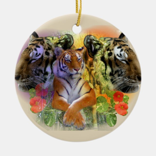 Tiger at Henry Doorly Zoo Ceramic Ornament (Front)