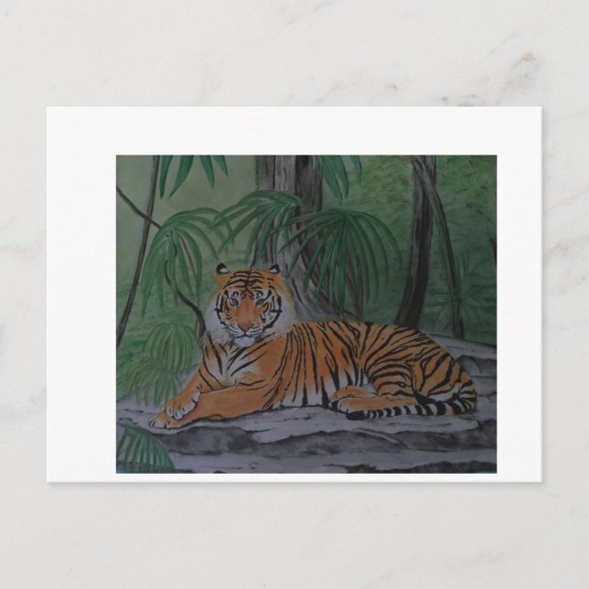 Tiger at Rest Postcard (Front)