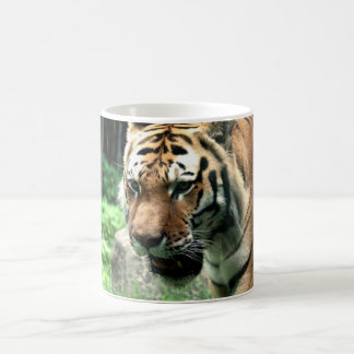 Tiger at the Bronx Zoo Mug