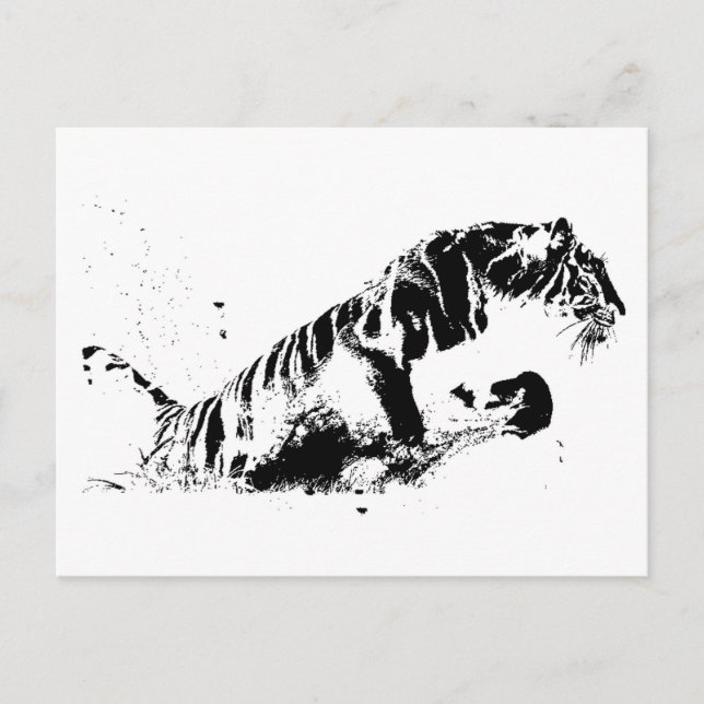 Tiger Attacking Postcard (Front)