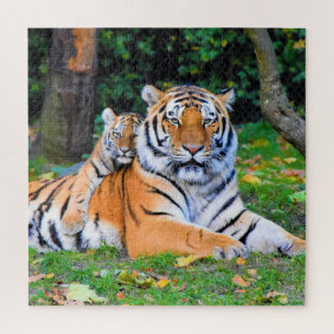Tiger & Baby Posing Beautifully in Grass Together Jigsaw Puzzle
