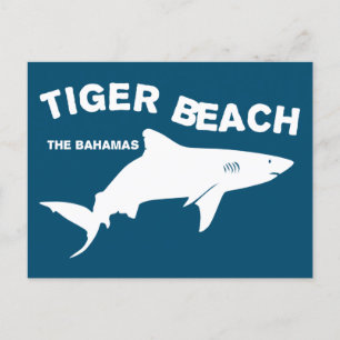 Tiger Beach - The Bahamas Diving With Sharks Postcard