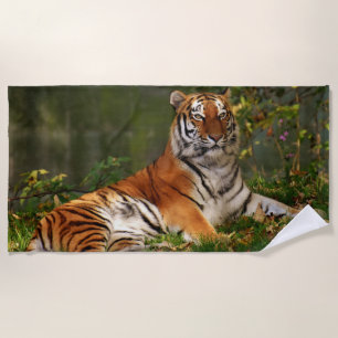 TIGER BEACH TOWEL