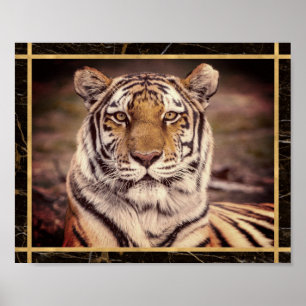 Tiger Big Cat Photo Image Print Poster
