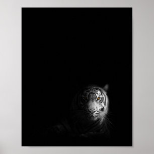 Tiger, black and white photograph, poster
