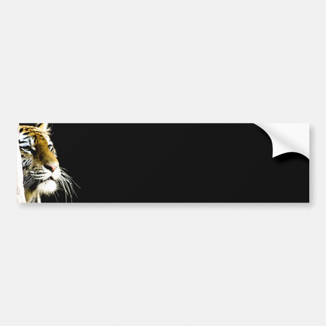 Tiger Bumper Sticker (Front)