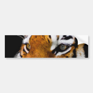 Tiger Bumper Sticker