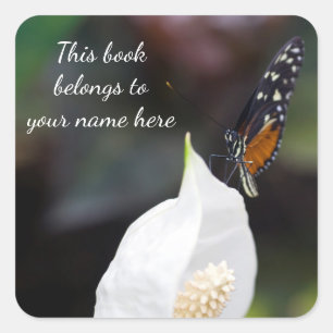 Tiger Butterfly "This book belongs to" sticker