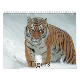 Tiger Calendar