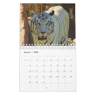 Tiger Calendar