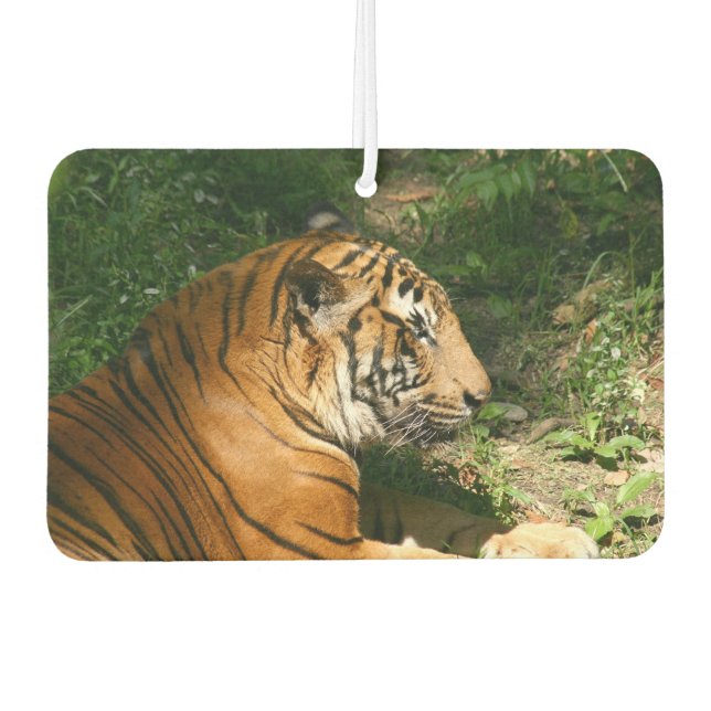 Tiger Car Air Freshener (Front)