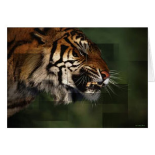 Tiger Card