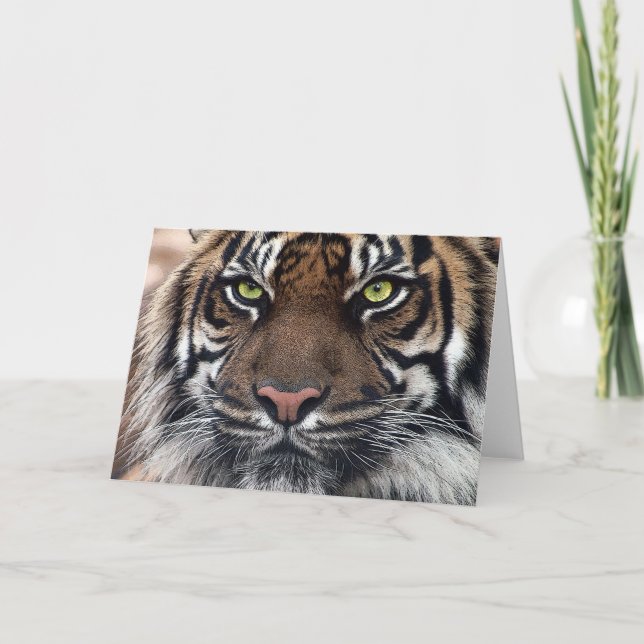 Tiger Card (Front)