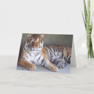 Tiger Card