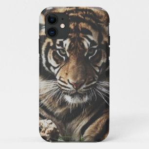 Tiger Case