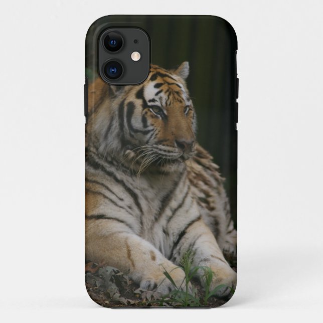 Tiger Case-Mate iPhone Case (Back)