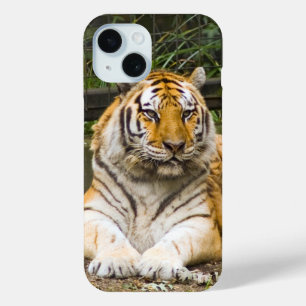 Tiger iPhone 15 Case