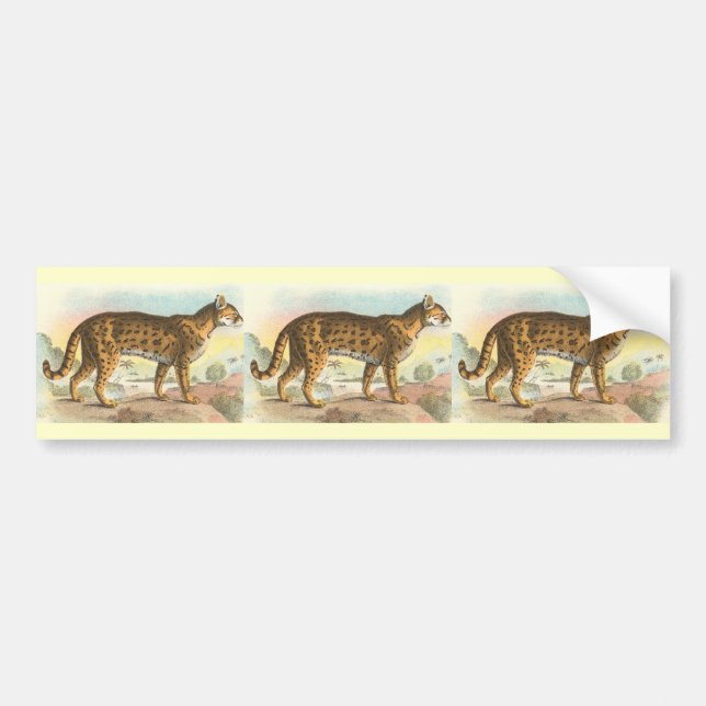 Tiger-Cat Bumper Sticker (Front)