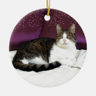 Tiger Cat Ceramic Tree Decoration