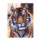 Tiger Cat Close Up Painted Wildlife