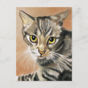 Tiger Cat Kitten Animal  Postcard
