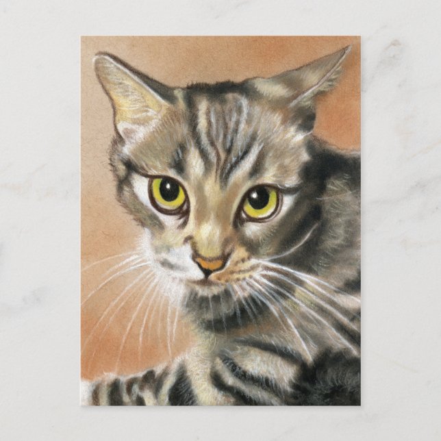 Tiger Cat Kitten Animal  Postcard (Front)