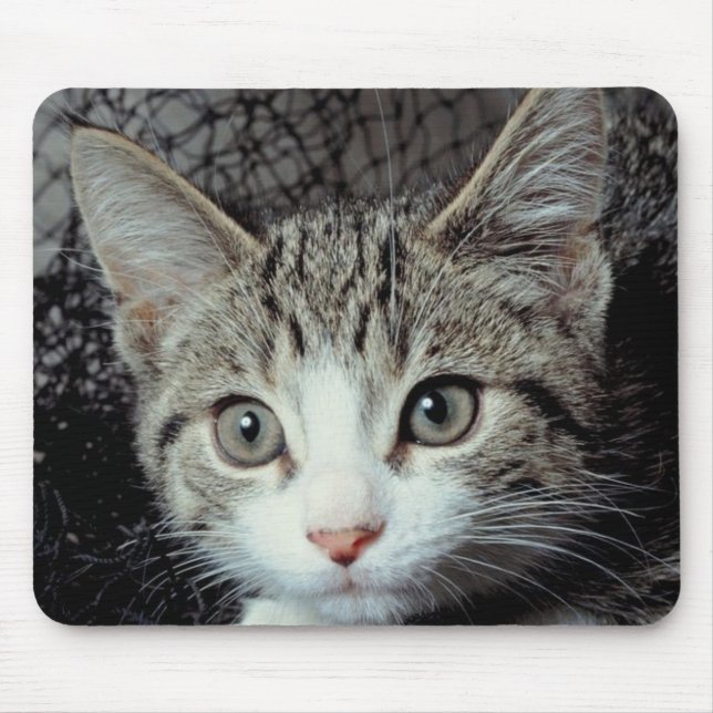 Tiger Cat Mouse Pad (Front)