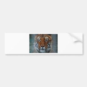 Tiger Cat Stripes Jungle Mist Animal Bumper Sticker