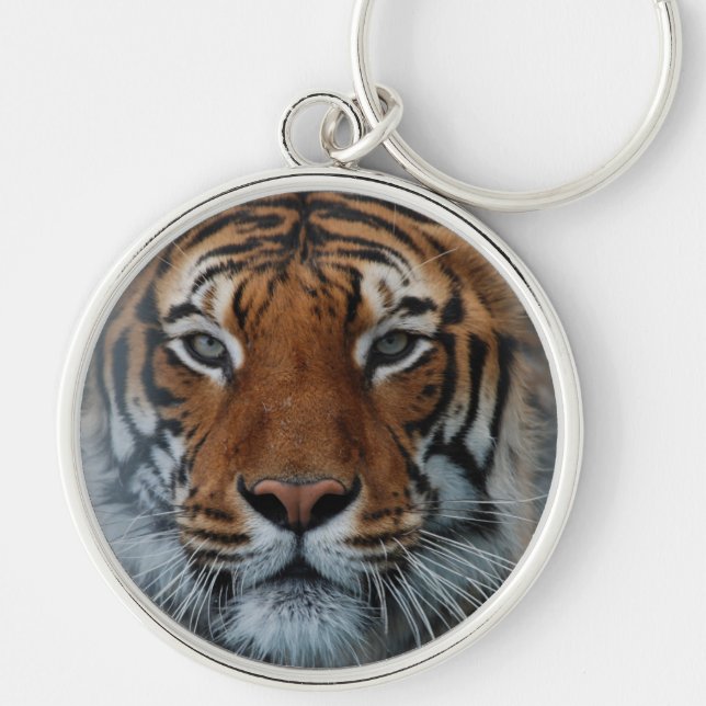 Tiger Cat Stripes Jungle Mist Animal Key Ring (Front)