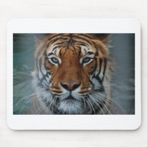 Tiger Cat Stripes Jungle Mist Animal Mouse Pad