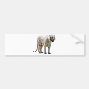 Tiger cat stripes personalise diy Anniversaries Bumper Sticker