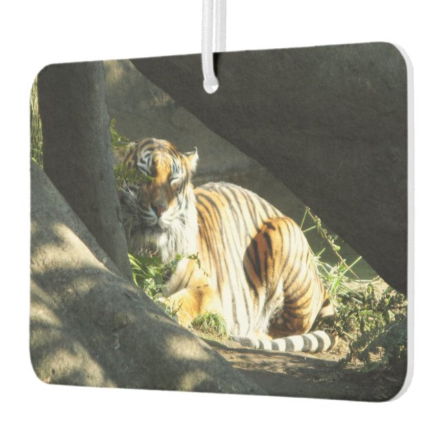 Tiger Catnap Car Air Freshener (Left)